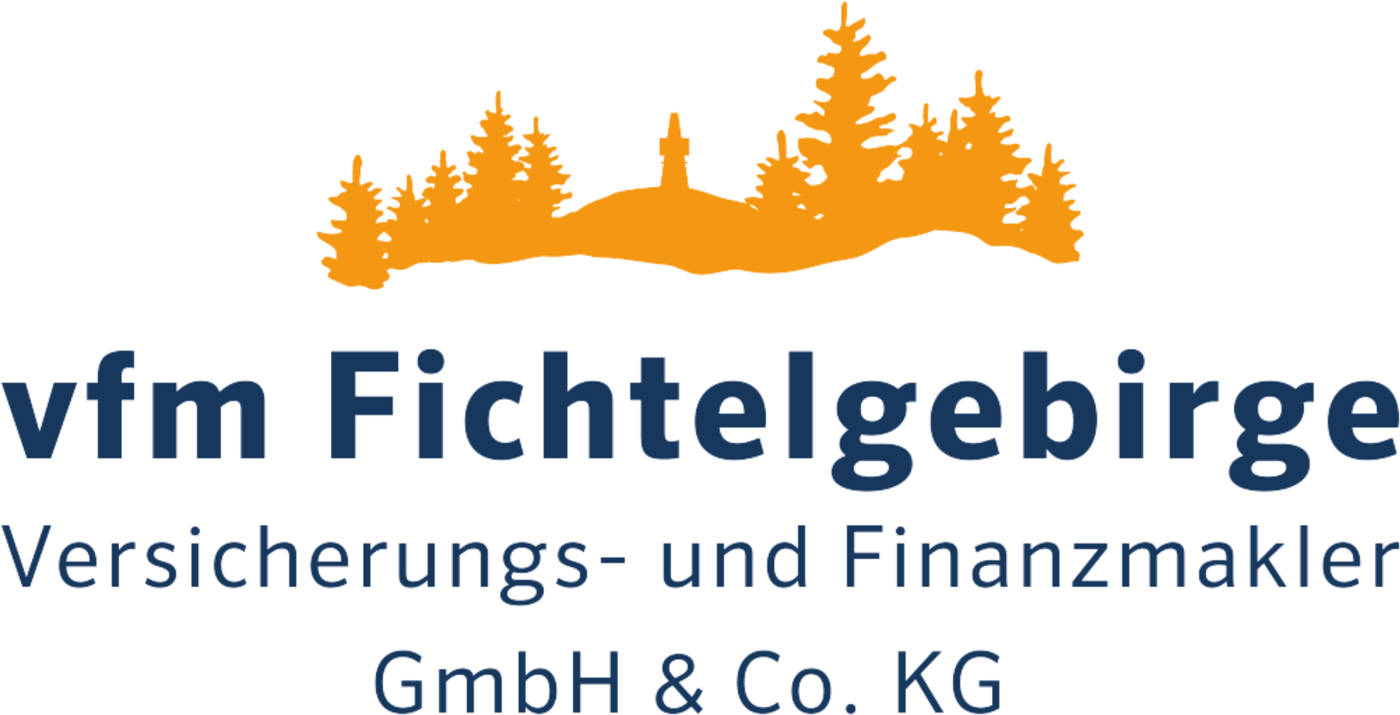 VFM Fichtelgebirge